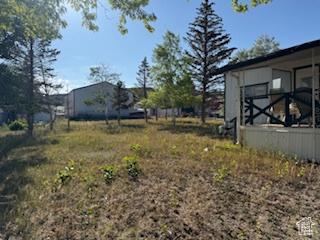 235 N 4th E, Manila, UT 84046 - view of yard
