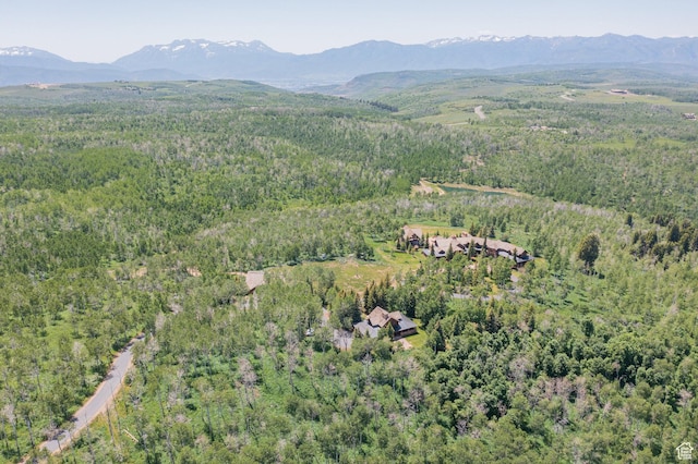 1943 N Wolf Creek Ranch Rd Unit 12, Heber City, UT 84032