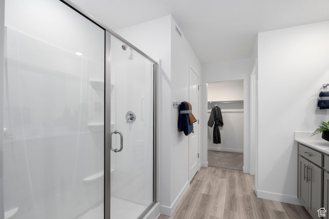 1813 E Bison Dr N Unit B213, Eagle Mountain, UT 84005 - bathroom with wood finished floors, vanity, a shower stall, and a spacious closet