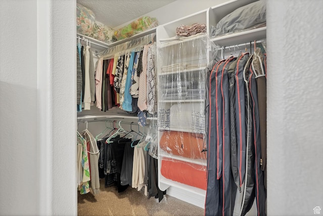 3430 Red Butte Dr, Santa Clara, UT 84765 - walk in closet with carpet