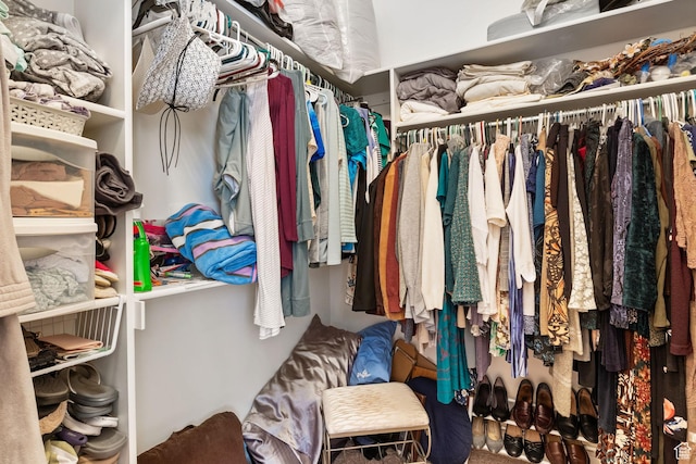 14599 S Chaumont Ct, Draper, UT 84020 - view of walk in closet