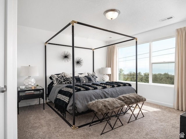 409 S 1110 W Unit 223, American Fork, UT 84003 - carpeted bedroom with baseboards