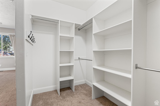 727 S Main St, Mapleton, UT 84664 - spacious closet with carpet flooring