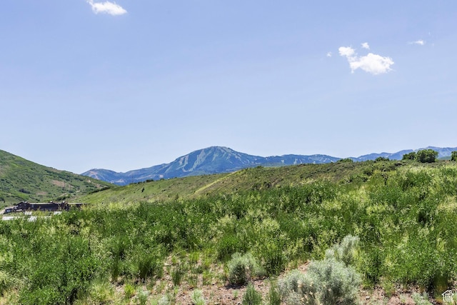 1161 W Wintercress Trl W Unit 27F, Kamas, UT 84036 - view of mountain backdrop