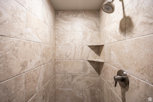 1161 W Wintercress Trl W Unit 27F, Kamas, UT 84036 - bathroom view of a tile shower