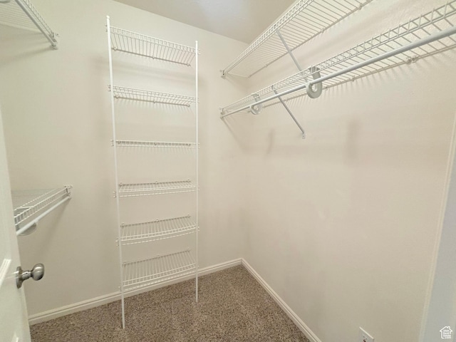 10521 S Sage Flats Way S, Jordan, UT 84009 - spacious closet with carpet