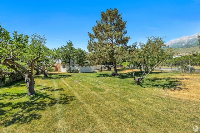 1040 E 900 N, Orem, UT 84097 - view of yard featuring a mountain view