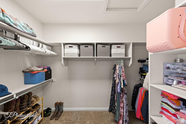 2640 W 200 N, Hurricane, UT 84737 - walk in closet with carpet flooring and attic access