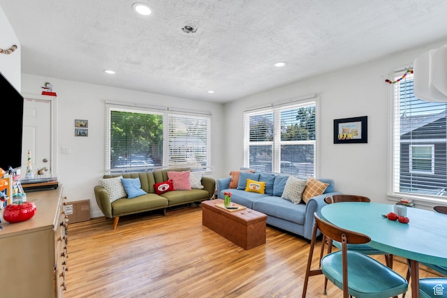 555 N 800 E, Provo, UT 84606 - living room featuring light wood-style floors, plenty of natural light, recessed lighting, and a textured ceiling