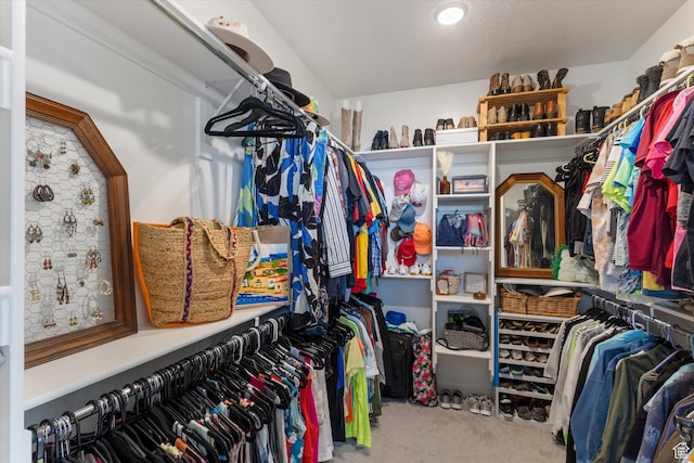 1414 S 790 E, Salem, UT 84653 - walk in closet featuring carpet floors