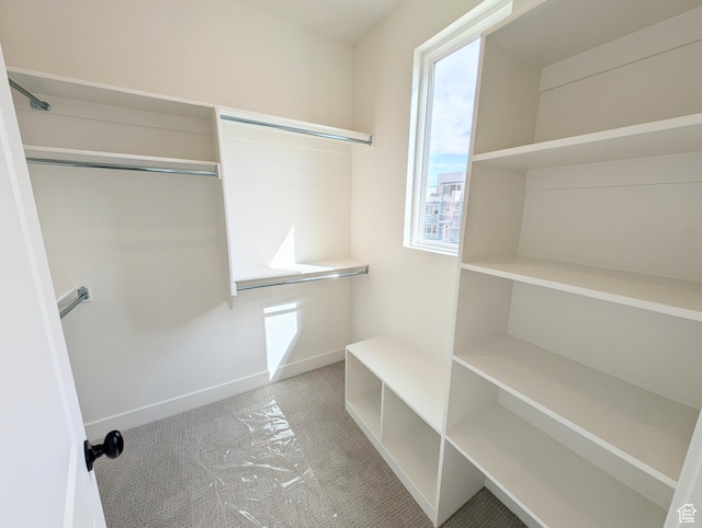 10634 S Cardinal Park Rd W Unit 148, South Jordan, UT 84009 - view of walk in closet