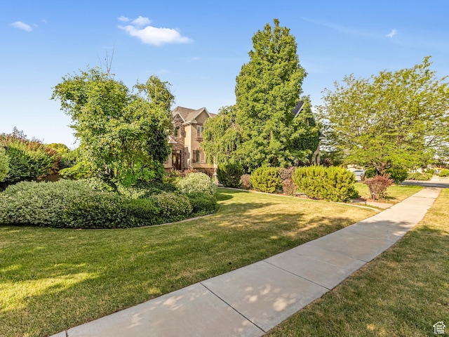 385 W Riverside Ln, Spanish Fork, UT 84660 - surrounding community featuring a lawn