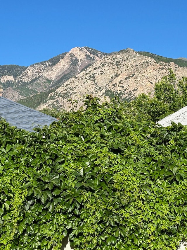 2839 S Vanburen Ave E Unit 8, Ogden, UT 84403 - view of mountain background