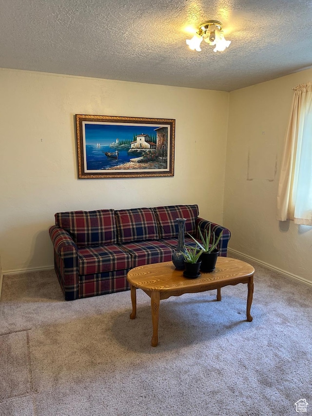 2839 S Vanburen Ave E Unit 8, Ogden, UT 84403 - living room with a textured ceiling and carpet floors