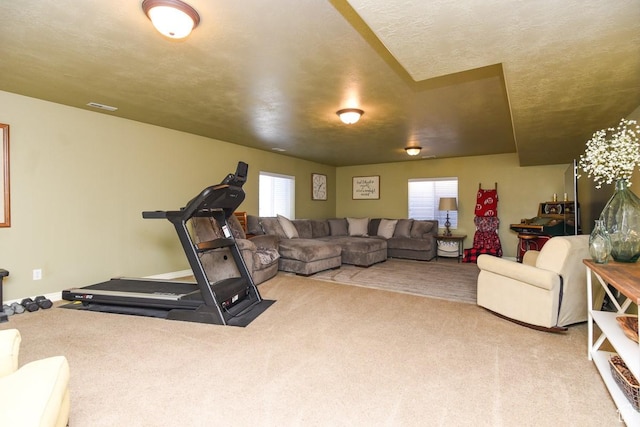 615 W 850 N, Tooele, UT 84074 - carpeted living room with baseboards