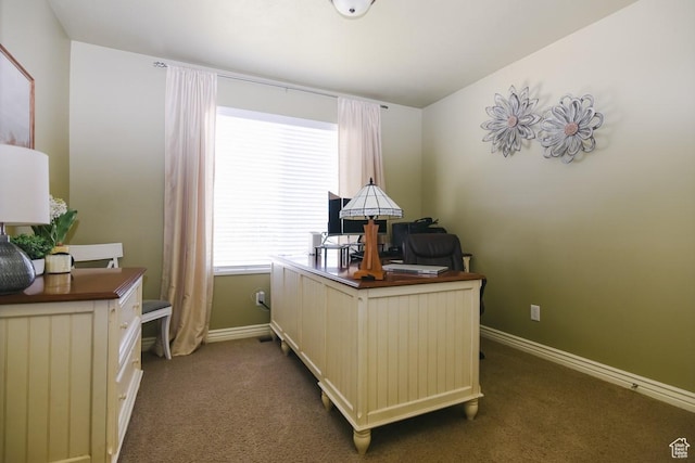 615 W 850 N, Tooele, UT 84074 - office space featuring dark carpet