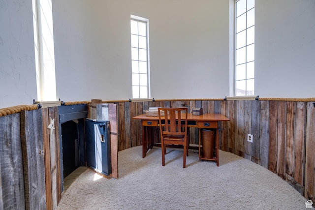 2599 S Foxridge Rd, Garden City, UT 84028 - carpeted office space with wainscoting, plenty of natural light, and wooden walls