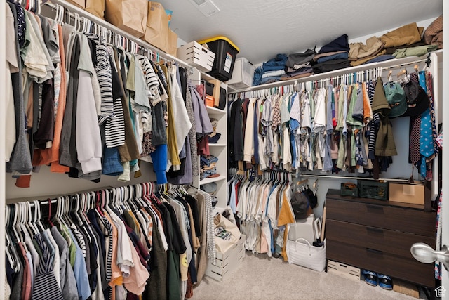 4892 E Lake Corner Dr, Eagle Mountain, UT 84005 - spacious closet with carpet flooring