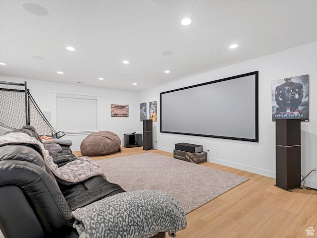 1172 E Candy Ln, American Fork, UT 84003 - home theater with light wood-style floors and recessed lighting