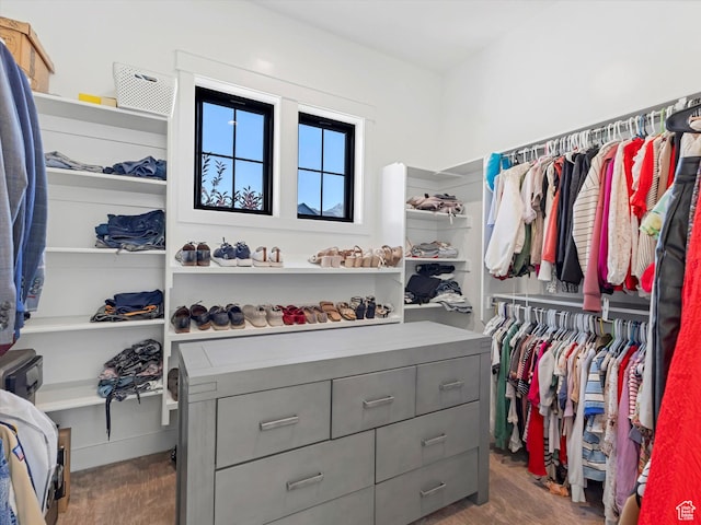 1172 E Candy Ln, American Fork, UT 84003 - walk in closet with wood finished floors