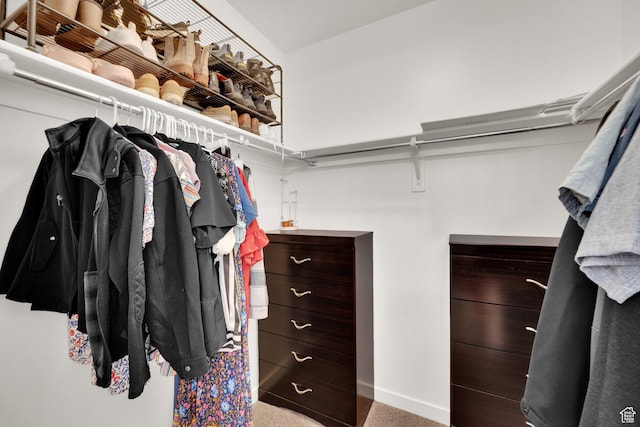 1752 S 570 W, Provo, UT 84601 - walk in closet featuring carpet