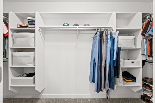 5423 W Black Hills Ln, Herriman, UT 84096 - view of spacious closet