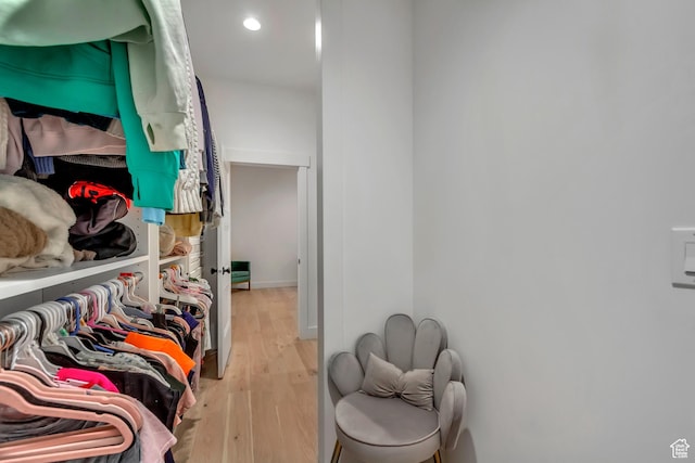 481 E 3675 N, North Ogden, UT 84414 - walk in closet featuring light wood-style flooring