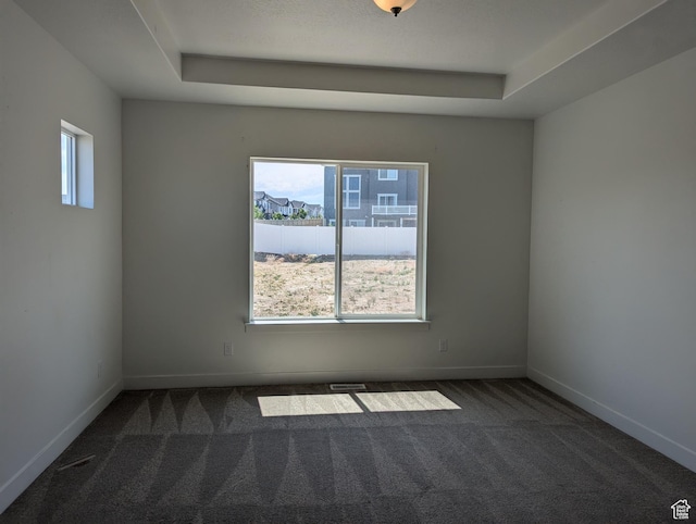 57 N Midland Dr, Saratoga Springs, UT 84045 - spare room with dark carpet and a tray ceiling