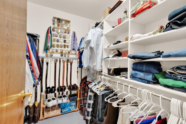 11901 S Maple Ridge Rd, Sandy, UT 84094 - walk in closet featuring carpet floors