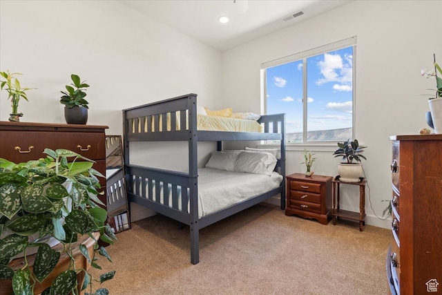 1145 W 500 N, Manti, UT 84642 - bedroom with light colored carpet