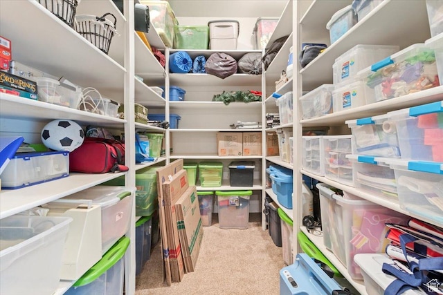 1145 W 500 N, Manti, UT 84642 - view of storage