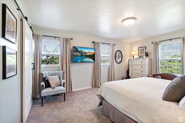 5203 Chambers St, South Ogden, UT 84403 - bedroom featuring a textured ceiling, carpet floors, and a barn door