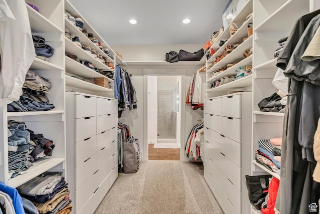 2040 E Lambourne Ave, Millcreek, UT 84109 - spacious closet with light colored carpet