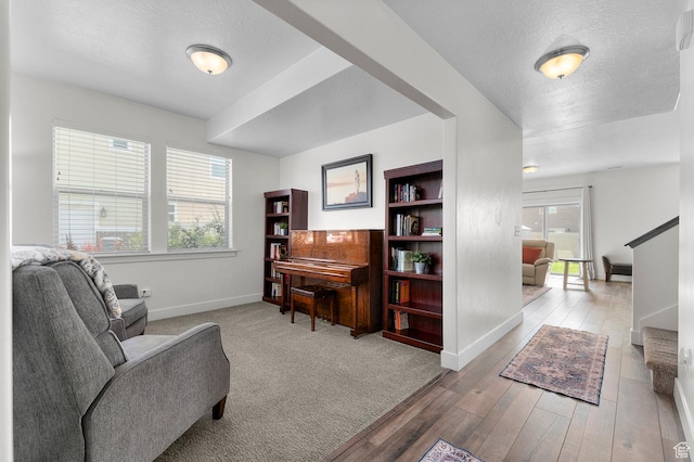 231 N 750 W, Springville, UT 84663 - sitting room featuring plenty of natural light, a textured ceiling, and wood-type flooring