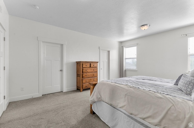 231 N 750 W, Springville, UT 84663 - bedroom featuring light carpet, multiple windows, and a textured ceiling