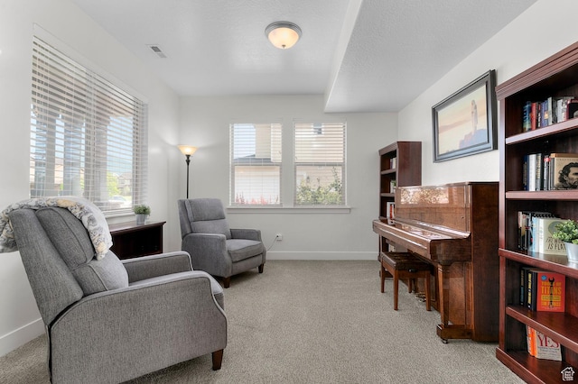 231 N 750 W, Springville, UT 84663 - sitting room featuring carpet flooring and healthy amount of natural light
