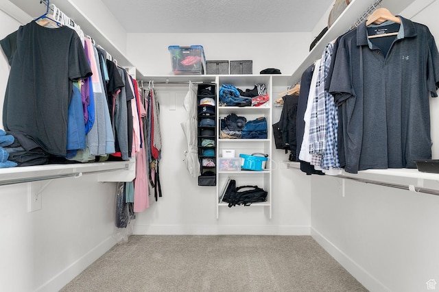 231 N 750 W, Springville, UT 84663 - walk in closet featuring carpet flooring
