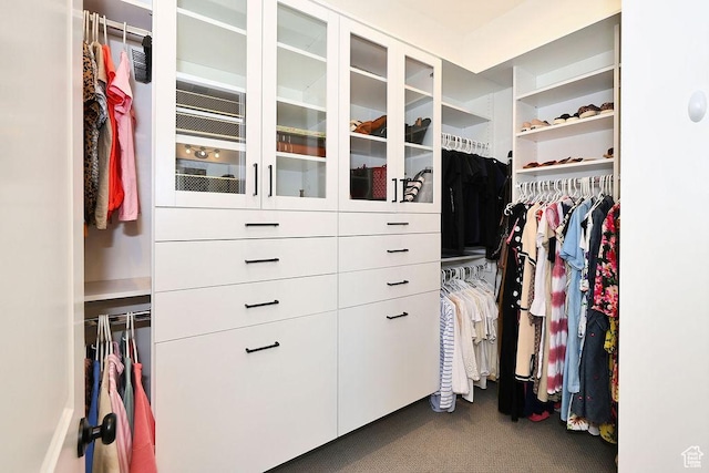 7817 S Danish Pine Ln Unit 101, Cottonwood Heights, UT 84121 - spacious closet with dark colored carpet
