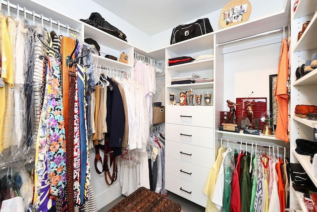 7817 S Danish Pine Ln Unit 101, Cottonwood Heights, UT 84121 - view of walk in closet