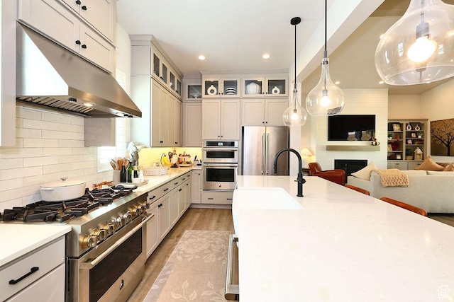 7817 S Danish Pine Ln Unit 101, Cottonwood Heights, UT 84121 - kitchen featuring appliances with stainless steel finishes, under cabinet range hood, light wood finished floors, decorative light fixtures, and open floor plan