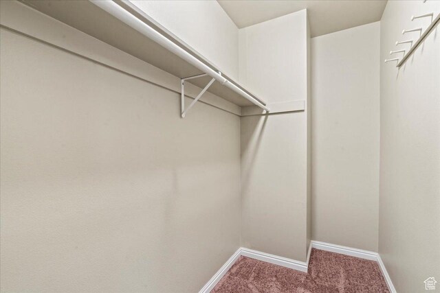 88 W 50 S Unit C9, Centerville, UT 84014 - walk in closet with carpet