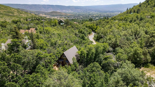 1470 W Canyon Dr, Midway, UT 84049