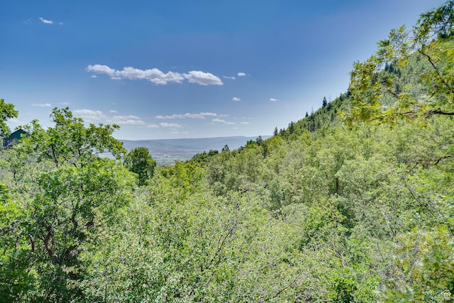 1470 W Canyon Dr, Midway, UT 84049