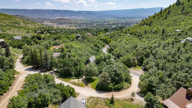 1470 W Canyon Dr, Midway, UT 84049