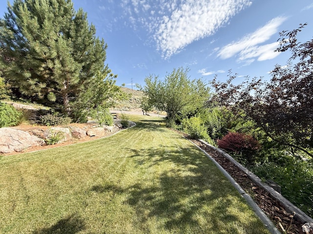 280 W 2400 S, Perry, UT 84302 - view of grassy yard