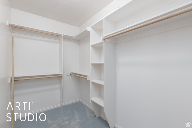 1209 N 1120 W, Clinton, UT 84015 - walk in closet with carpet