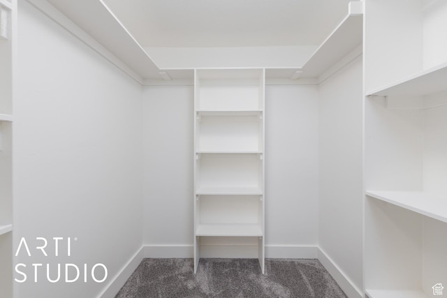 1209 N 1120 W, Clinton, UT 84015 - spacious closet with carpet flooring