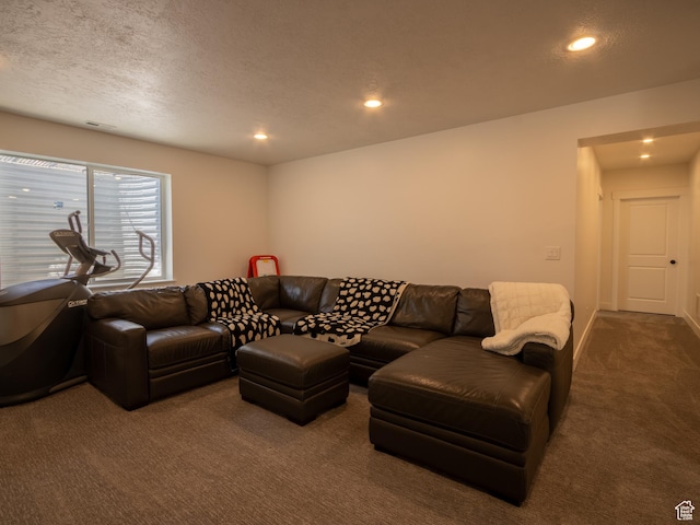 4821 W Juniper Bend Cir Unit 101, Herriman, UT 84096 - living area with carpet, recessed lighting, and a textured ceiling
