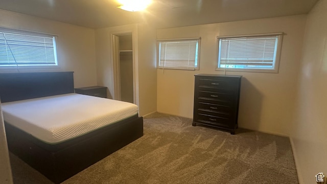 472 N 500 W, Logan, UT 84321 - view of carpeted bedroom