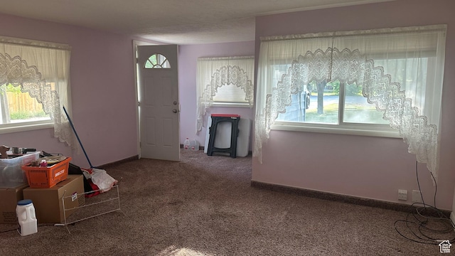 472 N 500 W, Logan, UT 84321 - interior space featuring carpet and plenty of natural light